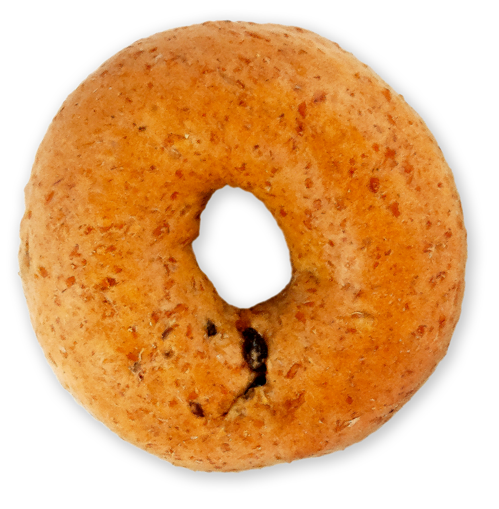 Slice of sprouted whole wheat cinnamon raisin bagel on a white background