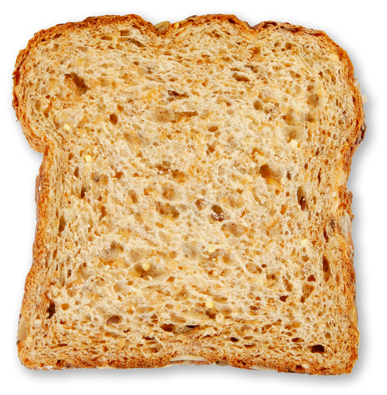 Slice of sprouted whole grain flax & chia bread on a white background