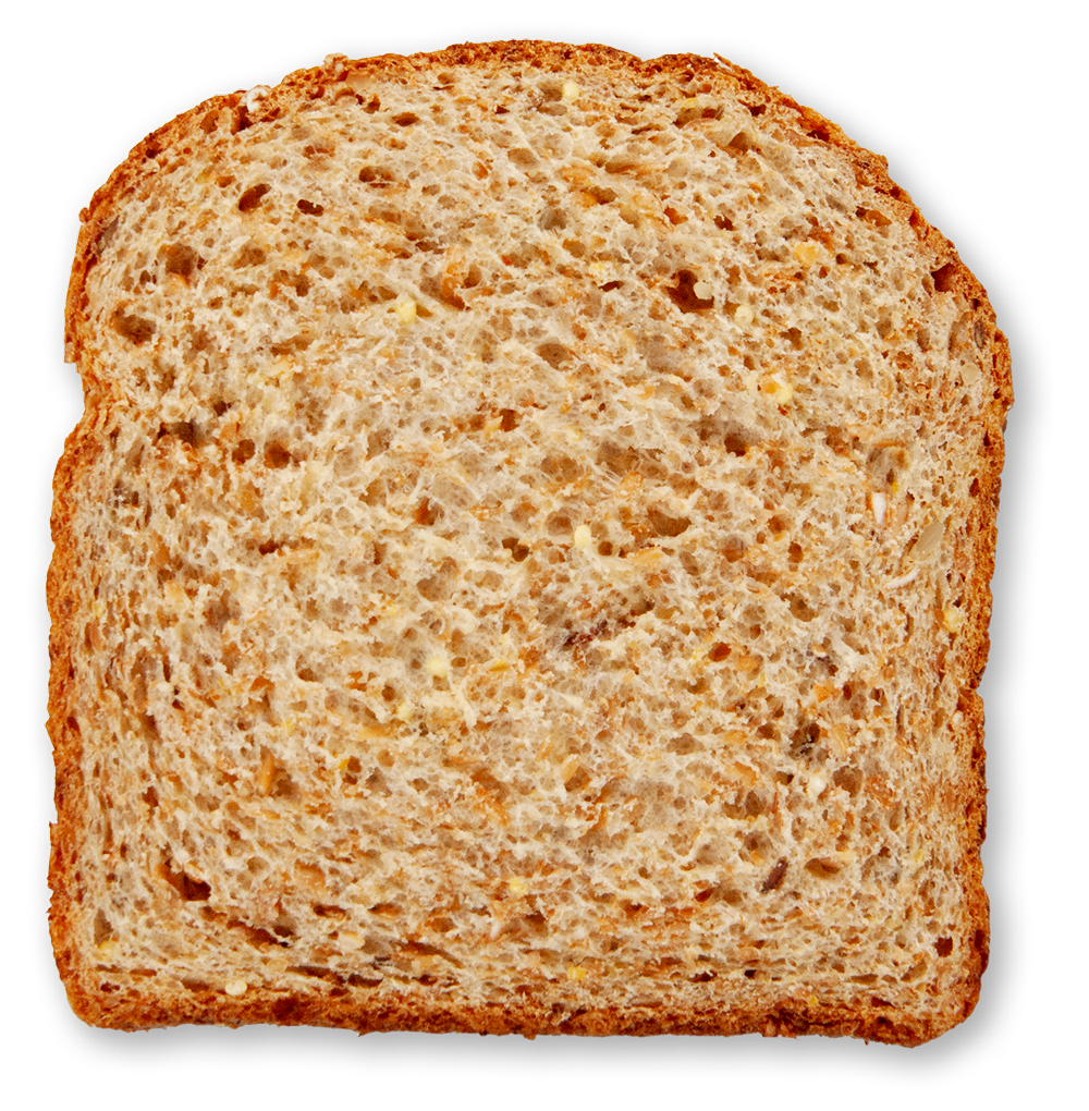 Slice of multigrain sprouted whole wheat bread on a white background