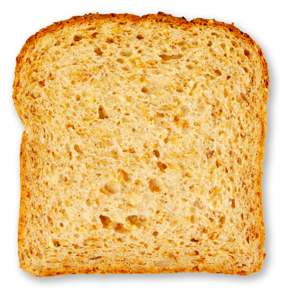 Slice of no salt added sprouted whole wheat bread on a white background