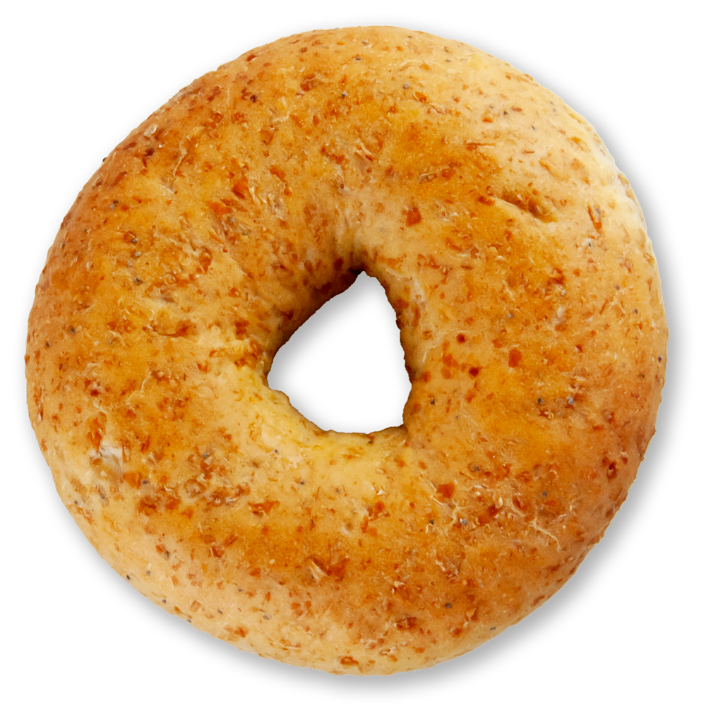Slice of sprouted whole wheat onion bagel on a white background