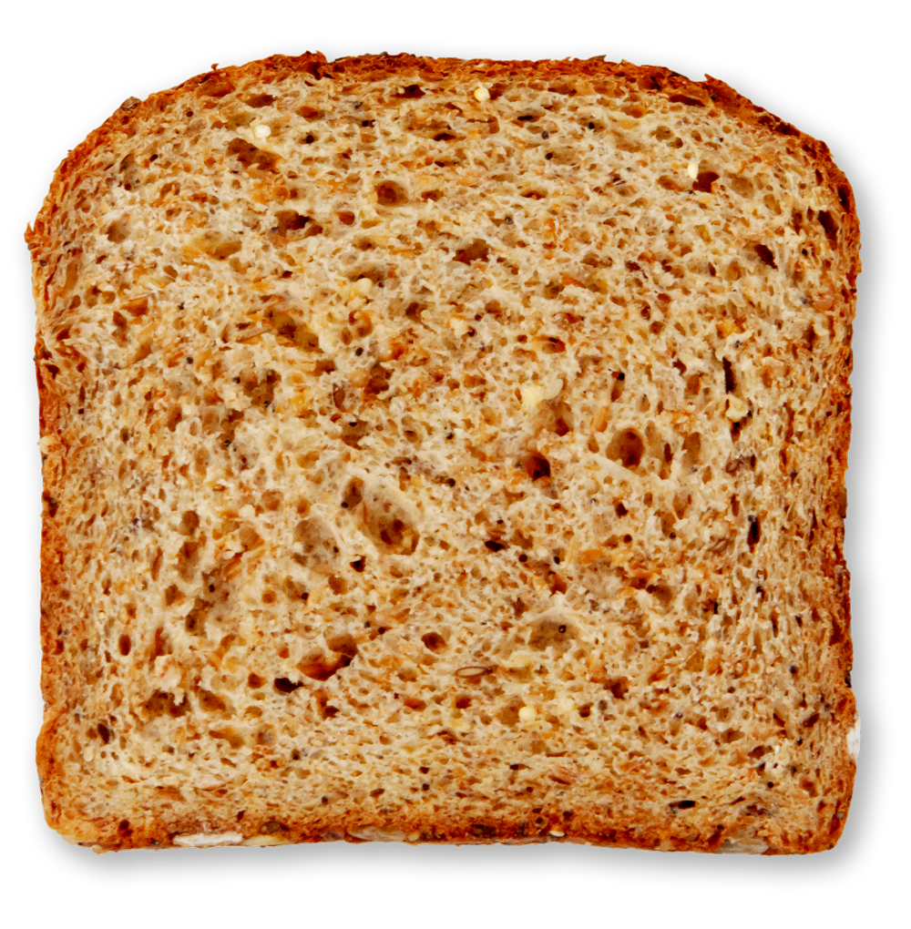 Slice of sprouted whole wheat seeded bread on a white background