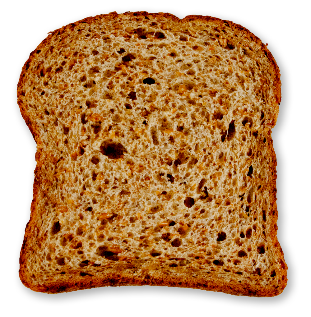 Slice of sprouted whole wheat sourdough bread on a white background