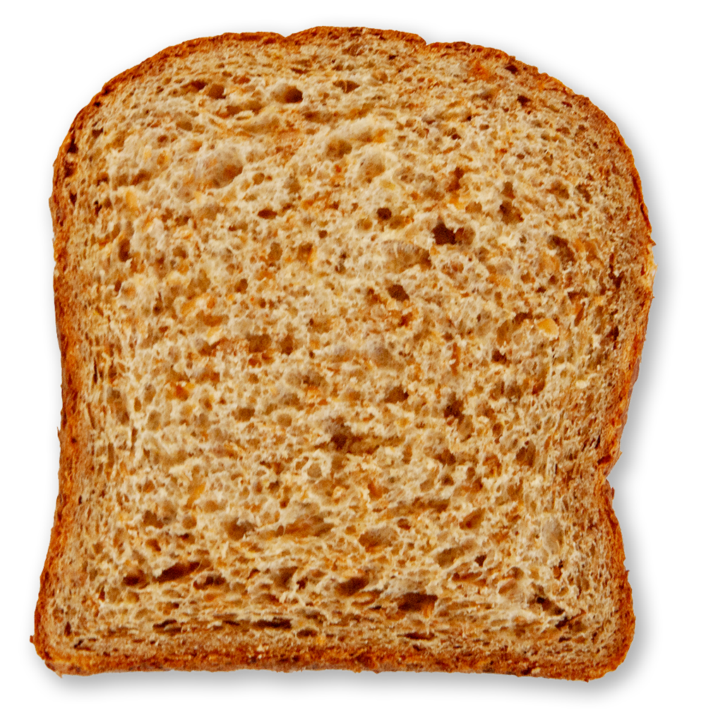 Slice of sprouted whole wheat bread on a white background