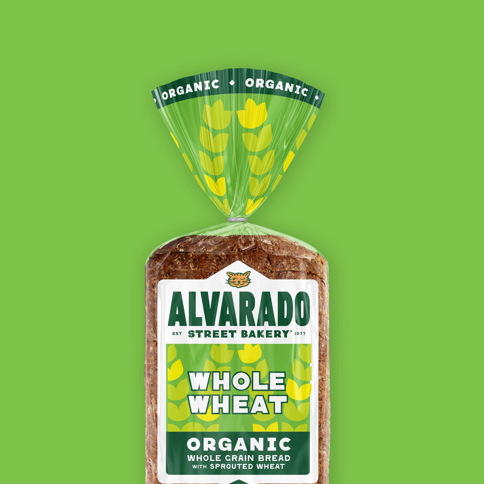 Packaged loaf of Alvarado Street Bakery whole wheat organic bread on a green background