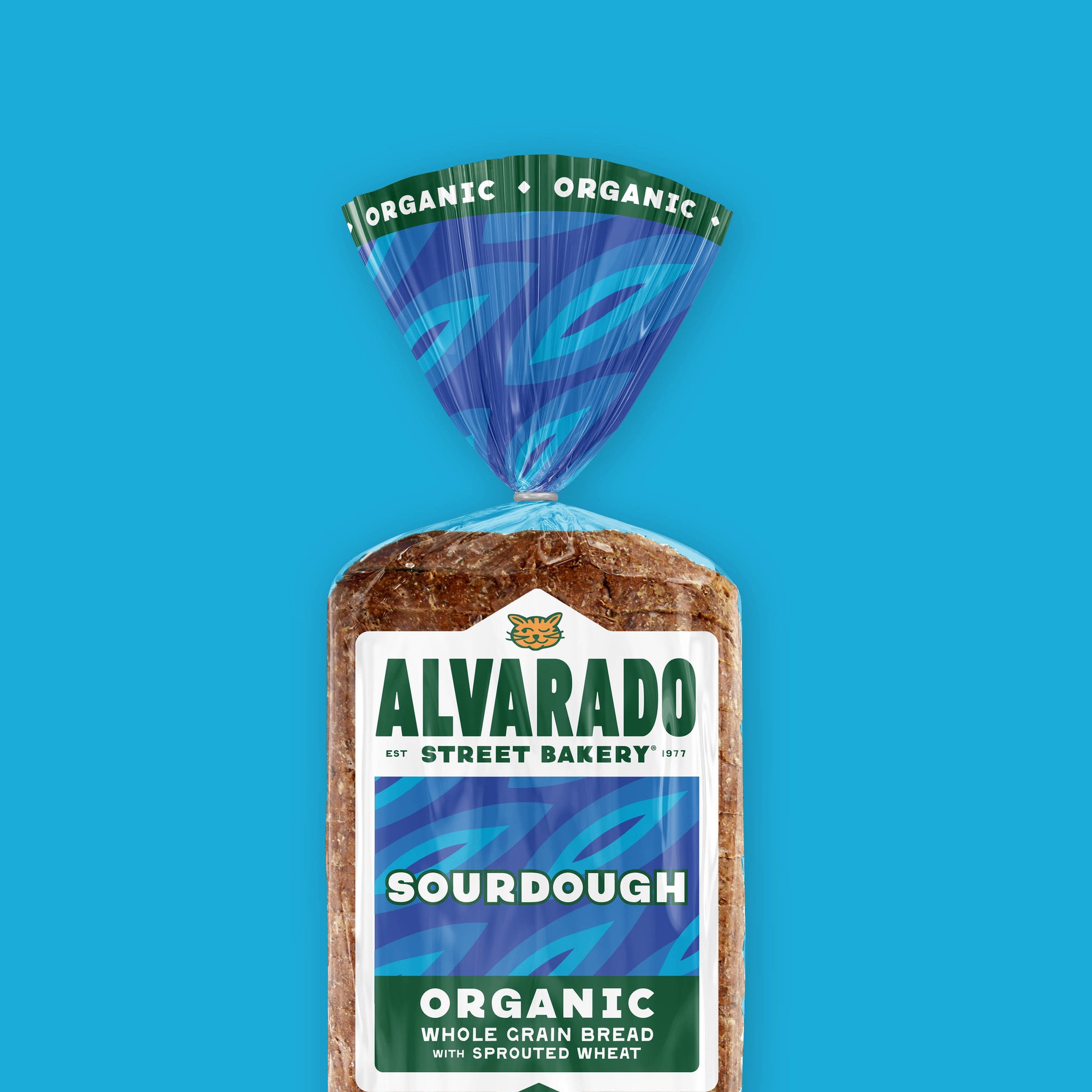 Alvarado Street Bakery sourdough organic whole grain bread package on a blue background