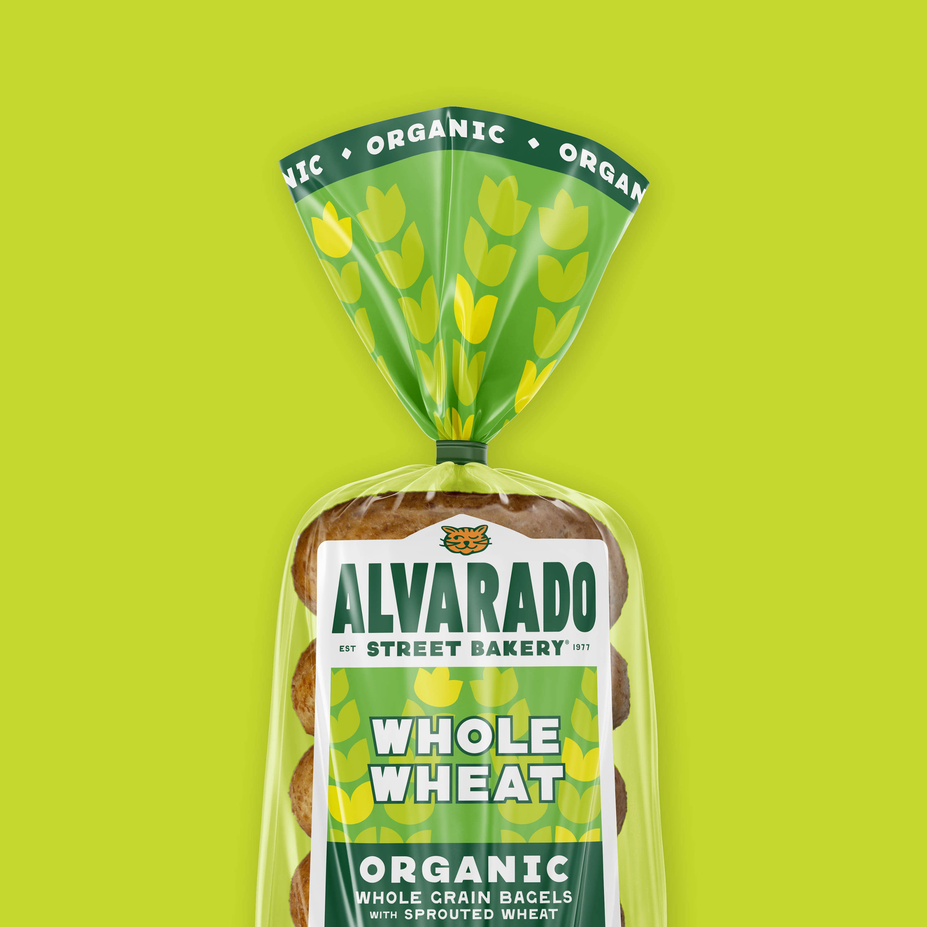 Alvarado Street Bakery whole wheat organic bagels package on a green background