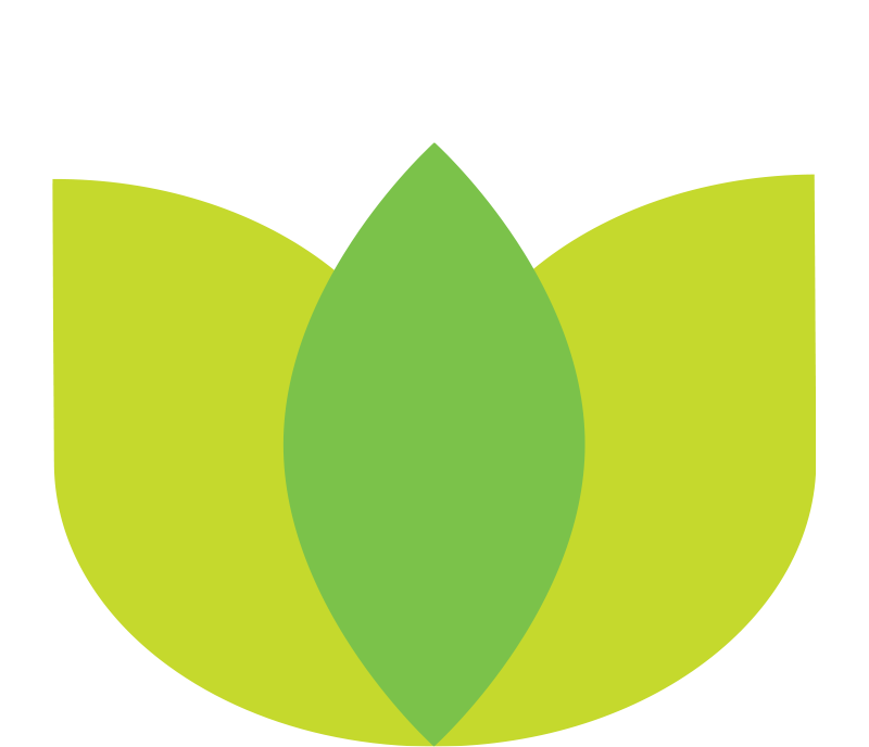 Green leaf icon on a white background