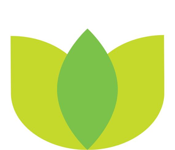Green leaf icon on a white background