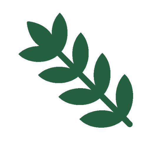 Green leafy branch icon on a white background