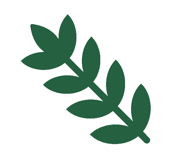 Green leafy branch icon on a white background