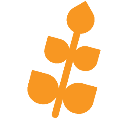 Orange organic multigrain icon on a white background