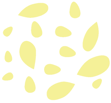 Yellow seed shaped objects on a white background