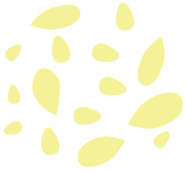 Yellow seed shaped objects on a white background