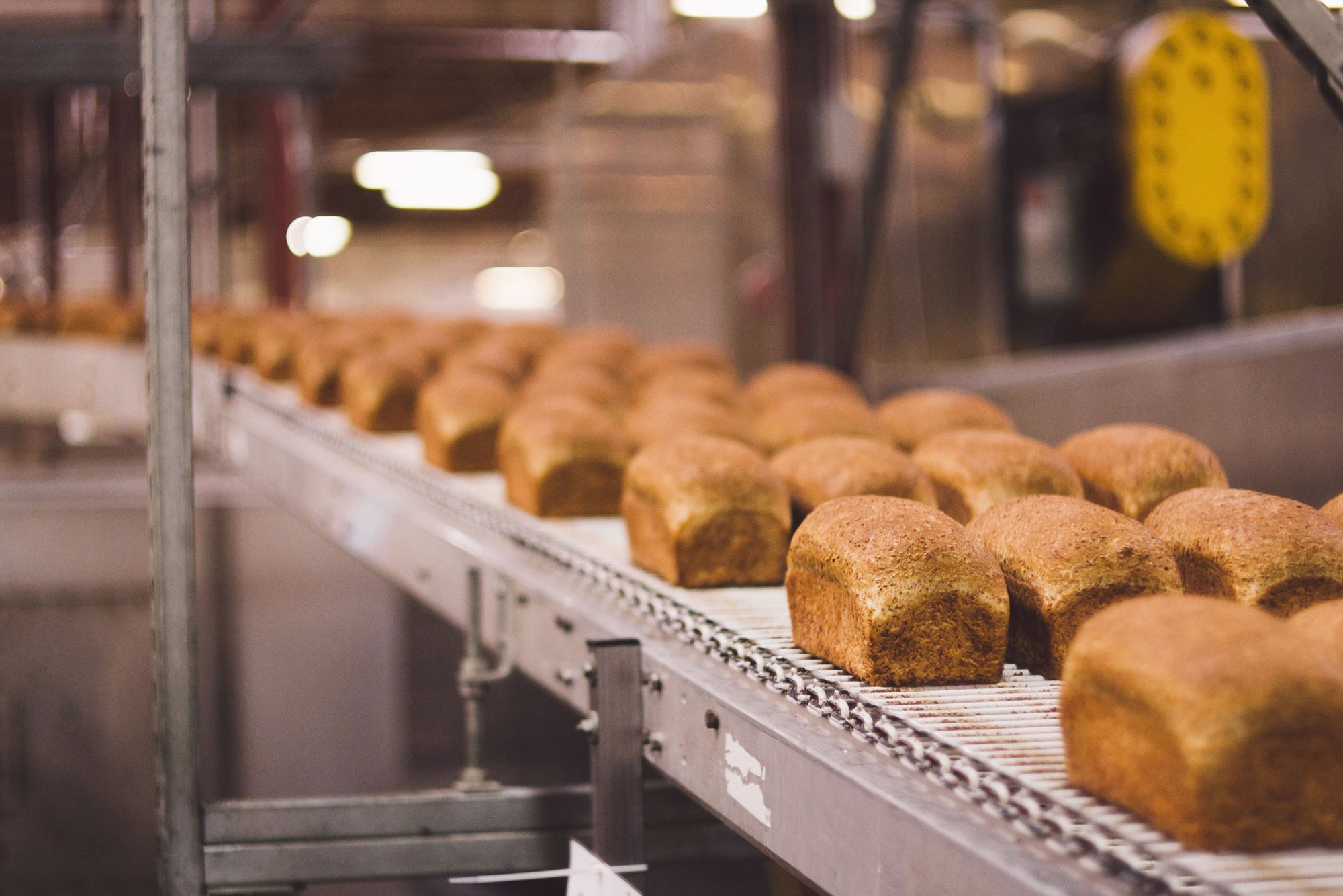 Loaves of bread on a conveyor belt in a bakery setting