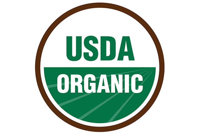 Sprouted Wheat White Bread - USDA Organic