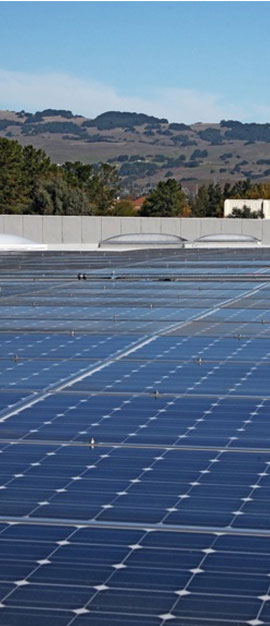 Solar Powered Bakery Petaluma CA